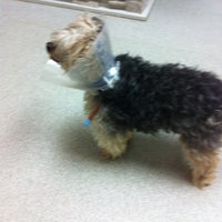 Photo taken at Long Island Veterinary Specialists by Evelyn B. on 5/4/2012