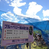 Photo taken at 関口ブルーベリー農園 by T A. on 8/19/2012