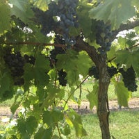 7/21/2012 tarihinde Felicia M.ziyaretçi tarafından Crown Winery LLC'de çekilen fotoğraf
