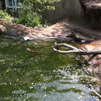 Photo taken at Otter Enclosure by Kevin C. on 8/12/2012