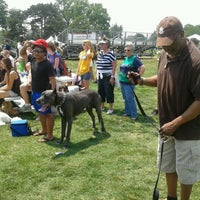 5/19/2012 tarihinde JACKIE O.ziyaretçi tarafından Bark in the Park - Presented by the Humane Society of Missouri &amp;amp; Purina ONE'de çekilen fotoğraf