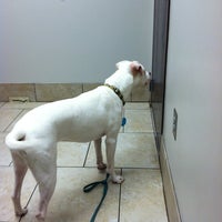 Photo taken at Collier Animal Hospital by VeVe P. on 3/27/2012