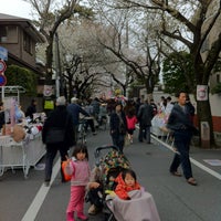 Photo taken at 成城のいちょう並木 by fukamarch on 4/7/2012