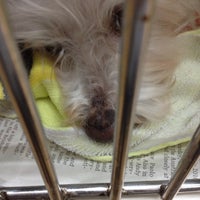 Photo taken at The Animal Clinic by Tang Y. on 3/6/2012