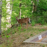 Photo taken at RCP/Soapstone Trail by Carl G. on 4/17/2012