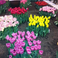 Photo taken at Chicago Flower And Garden Show by Michelle J. on 3/11/2012