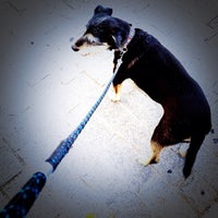 Photo taken at Dogwalking em Moema by Monica M. on 2/5/2012