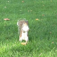 Photo taken at John F. Kennedy Memorial Park by Brandon on 8/7/2012