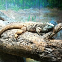 Photo taken at Aquatic &amp;amp; Reptile Center by REC21 on 5/19/2012