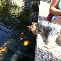 Photo taken at Koi Pond @ National Arboretum by Marie Claire A. on 4/15/2012