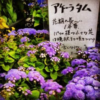 ホームセンター 島崎商店 川崎市高津区の家具 家財店