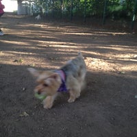 Photo taken at Jackson Heights Canine Recreation and Exercise Wonderland by Kathy P. on 5/18/2012