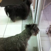 Photo taken at Groovy Pet Shop &amp;amp; Services by Senri on 9/7/2012