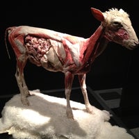 Photo taken at Animal Inside Out Exhibit by Ploy N. on 5/31/2012