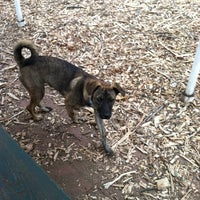 Photo taken at Christopher Morley Park -  Dog Run by Casandra C. on 4/11/2012