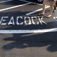 Animal Kingdom Parking Lot - Walt Disney World