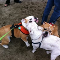 Photo taken at San Francisco Bulldog Meetup by Lana C. on 8/18/2012