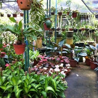 Rasa Sayang Florist Nurseries Kuantan Pahang