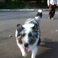 Photo taken at Sherry Dog Run by hoai vi p. on 7/14/2012