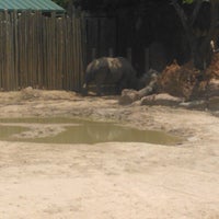 Photo taken at White Rhinoceros Exhibit @ Houston Zoo by D R. on 7/21/2012