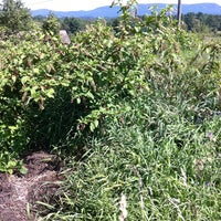 รูปภาพถ่ายที่ Black Birch Winery โดย Angela H. เมื่อ 8/26/2012
