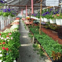 Photo taken at Langhorst Greenhouse by Chris A. on 5/13/2012