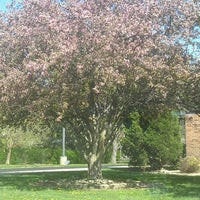 Photo taken at Chapel Glen Elementary School by Tina B. a. on 3/28/2012
