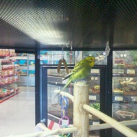 petco near kings plaza