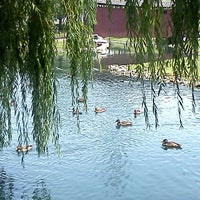 Photo taken at Willow Valley Duck Pond by Catherine K. on 7/3/2012