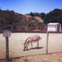 Photo taken at Wild Things - Monterey Zoo by Nadine S. on 8/12/2012