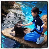 京都水族館 Kyoto Aquarium Aquarium 京都水族館 Kyoto Aquarium Aquarium