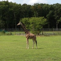 Foto diambil di Cape May County Zoo Society oleh Nicholas C. pada 8/18/2012