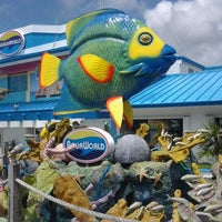 8/6/2012 tarihinde Man On The Lamziyaretçi tarafından Aquaworld Marina'de çekilen fotoğraf