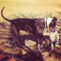 Rose Mofford Dog Park North Mountain 9625 N 25th Ave