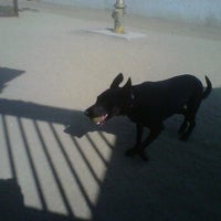 Photo taken at Downtown LA Arts District Dog Park by Shannon O. on 6/15/2012