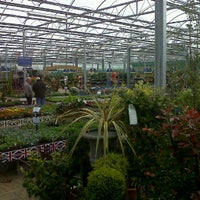 Bretby online garden centre