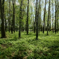 Photo taken at Парк by Световски on 5/2/2012