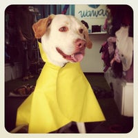 Photo taken at Wawaw, ropa para perros by Wawaw R. on 5/19/2012