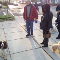 bonnie's dog & cat grooming