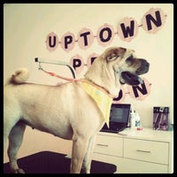 Photo taken at Just 4 Dogs Pet Salon by Adrian R. on 5/29/2012