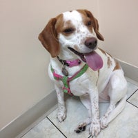 Photo taken at Gentle Care Animal Hospital by Natalie P. on 5/10/2012