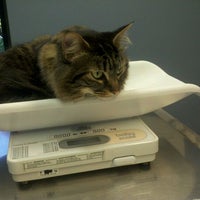 Vca Duncan Manor Animal Hospital Allison Park Pa