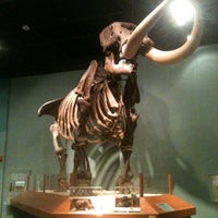 7/15/2012にLeah S.がMuseum Of Florida Historyで撮った写真