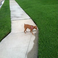 Photo taken at walking the dog by Jackie 🍸🎀👠 C. on 6/30/2012
