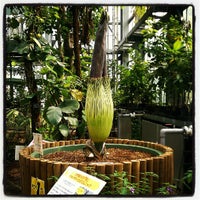 筑波実験植物園 Botanical Garden