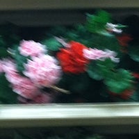 Christmas Tree Shops Amherst Ny