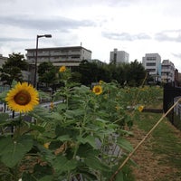Photo taken at ひまわりガーデン代官山坂 by Tamotsu M. on 8/14/2012