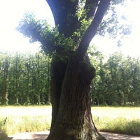Photo taken at Old Park Tree by Jan N. on 6/17/2012