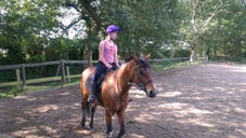 County Lane Stables Riding School