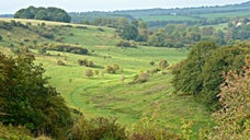 St. Catherine's Hill, Hampshire